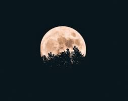 Full Moon Hike